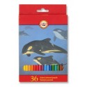 Ceruzky KOH-I-NOOR 3555/36 farebná súprava v kartóne